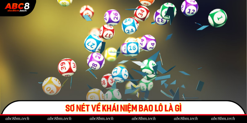 Sơ nét về khái niệm bao lô là gì